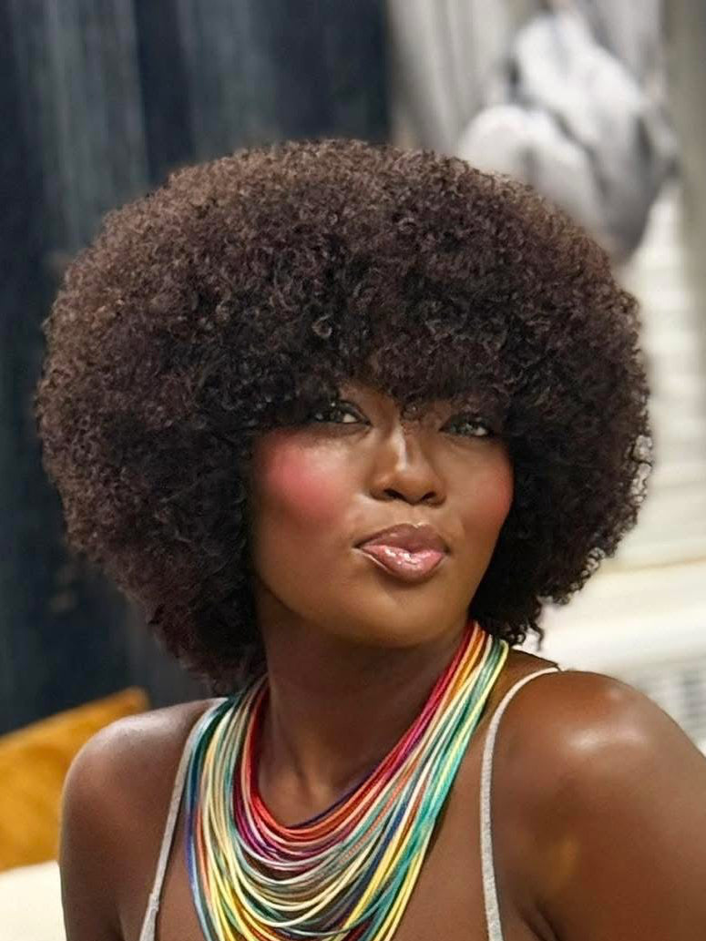 DANOUNOU Afro Kinky Curly, 250% Density/ 100% Human
