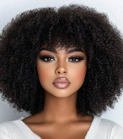 DANOUNOU Afro Kinky Curly, 250% Density/ 100% Human
