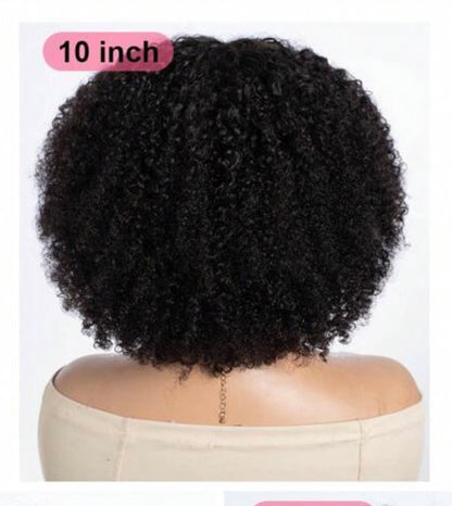 DANOUNOU Afro Kinky Curly, 250% Density/ 100% Human